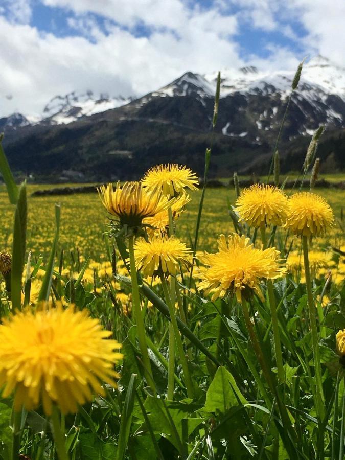 B&B Gottardo Airolo Exterior foto
